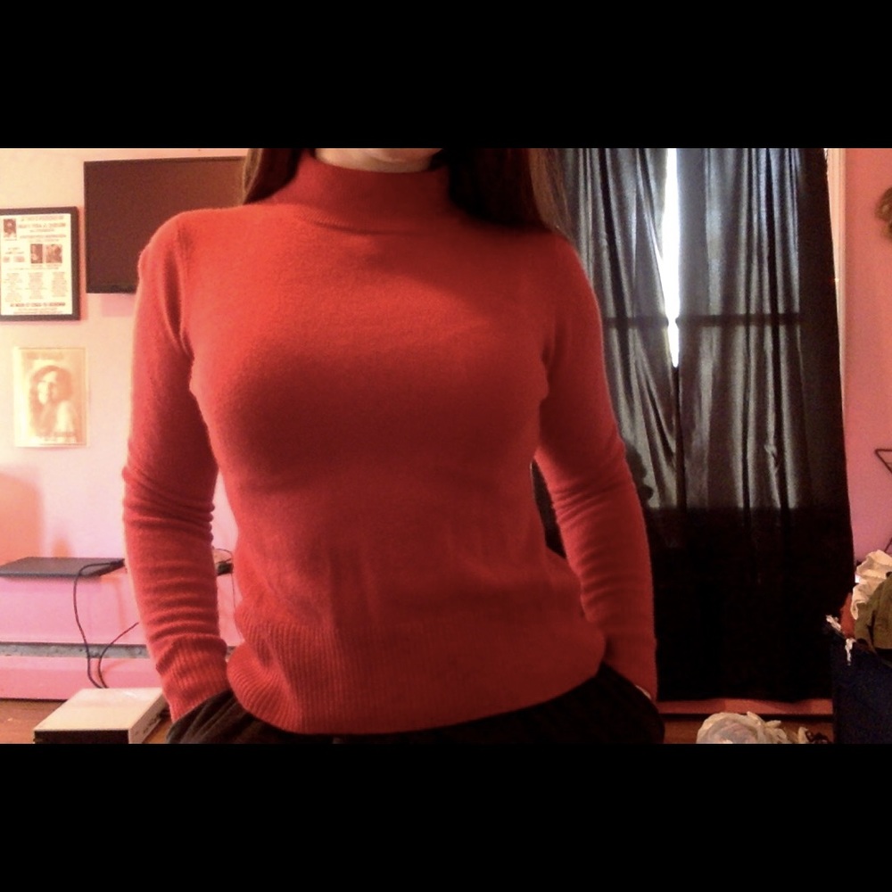 Slight Turtle necked Cashmere Sweater